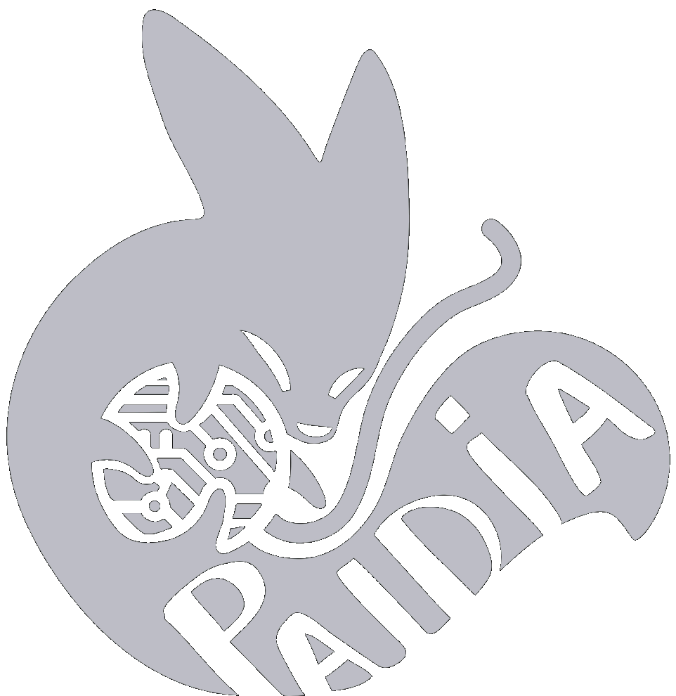 Paidia Consulting